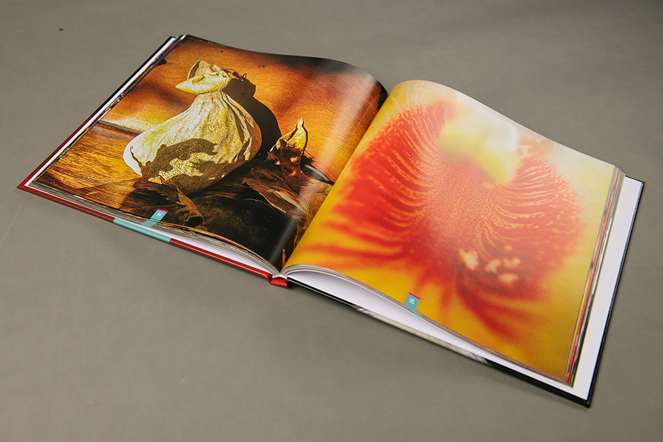 Up Close book, Malenn Oodiah, printed by Précigraph